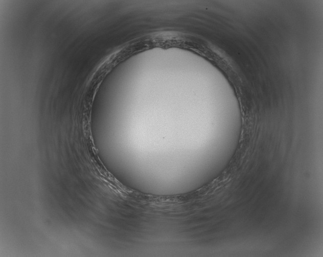 X0000081450823200701121012