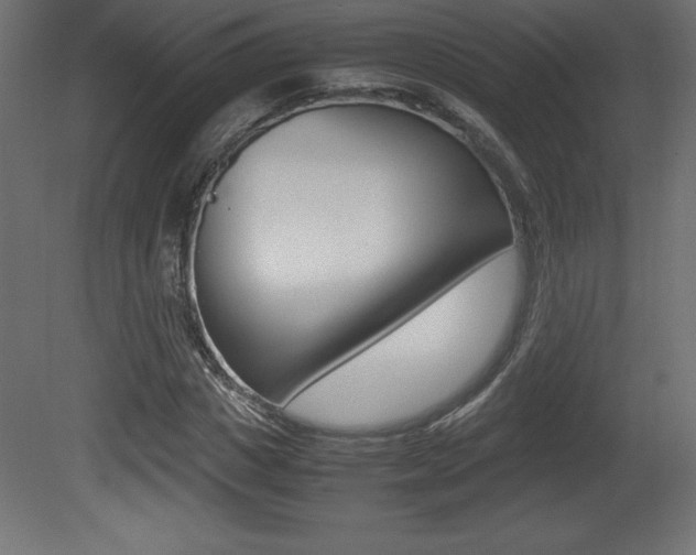 X0000081450825200701121012