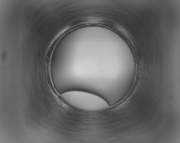 X0000081450827200701121012