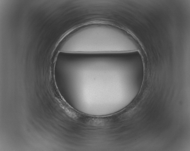 X0000081450829200701121012
