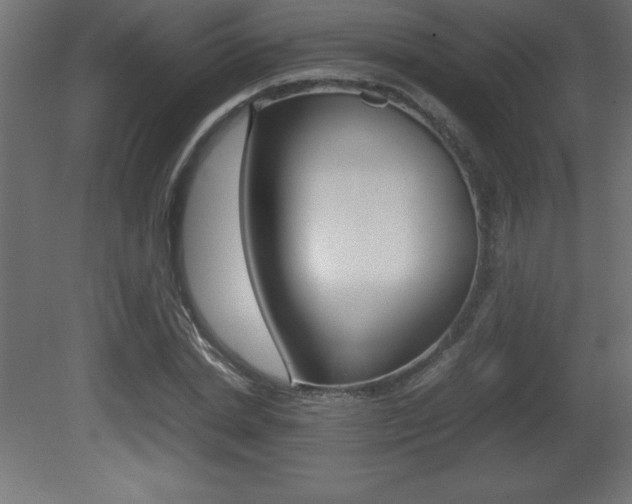 X0000081450830200701121012