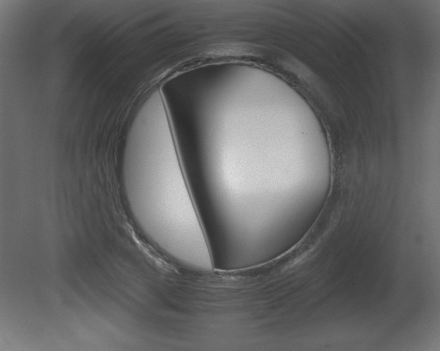 X0000081450833200701121012