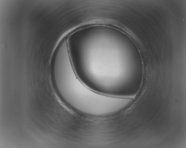 X0000081450838200701121013