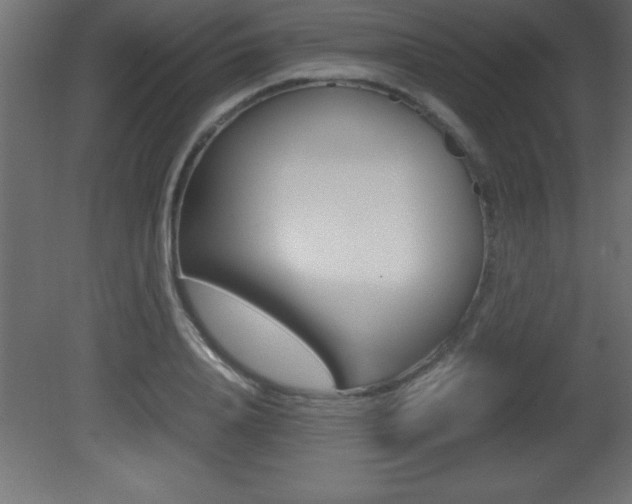 X0000081450840200701121013