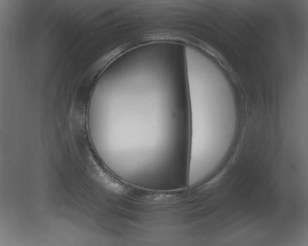 X0000081450841200701121013