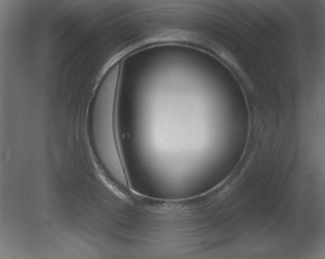 X0000081450842200701121013