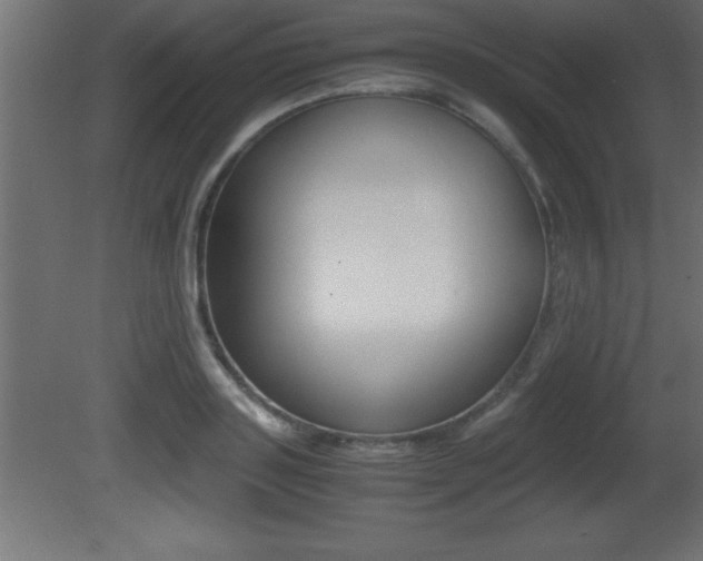 X0000081450843200701121013