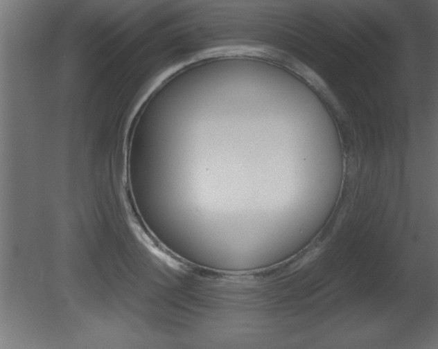 X0000081450844200701121013