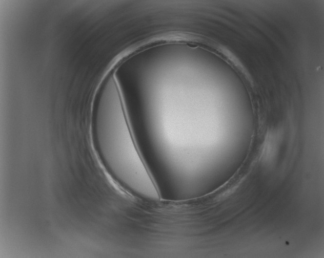 X0000081450845200701121013