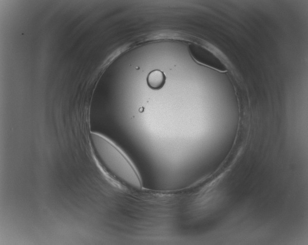 X0000081450849200701121013
