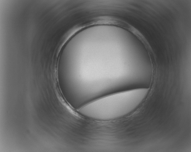 X0000081450852200701121013