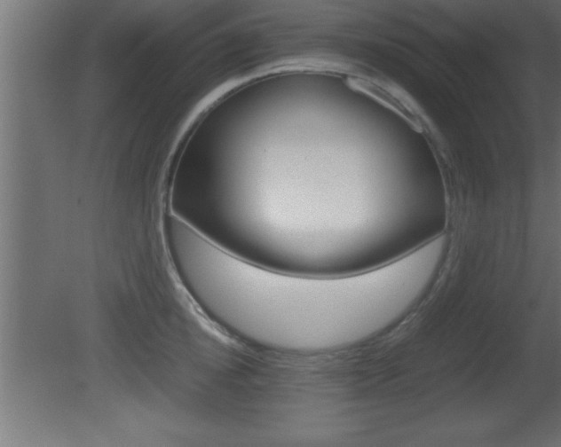 X0000081450854200701121013