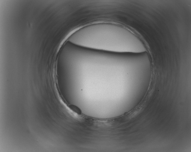 X0000081450855200701121013