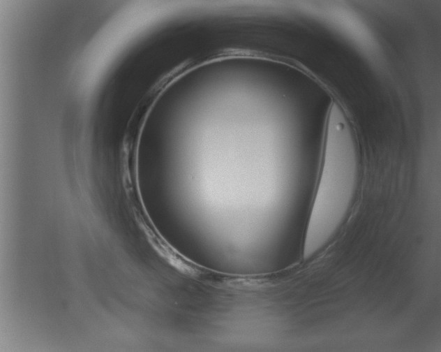 X0000081450862200701121013