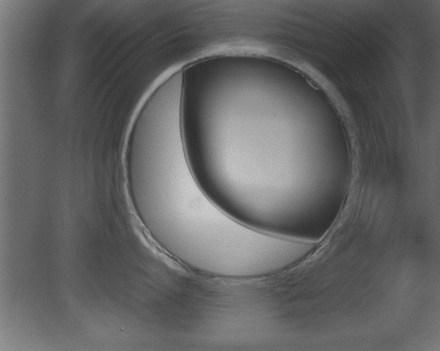 X0000081450864200701121013