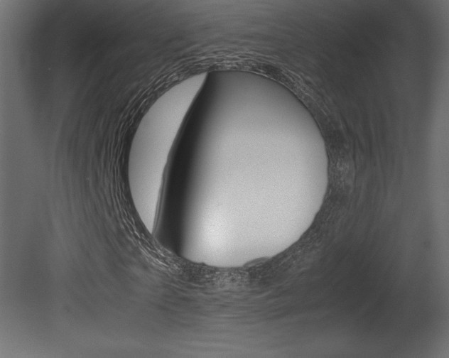 X0000081450865200701121012