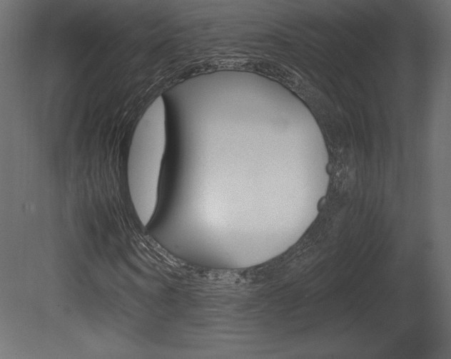 X0000081450866200701121012