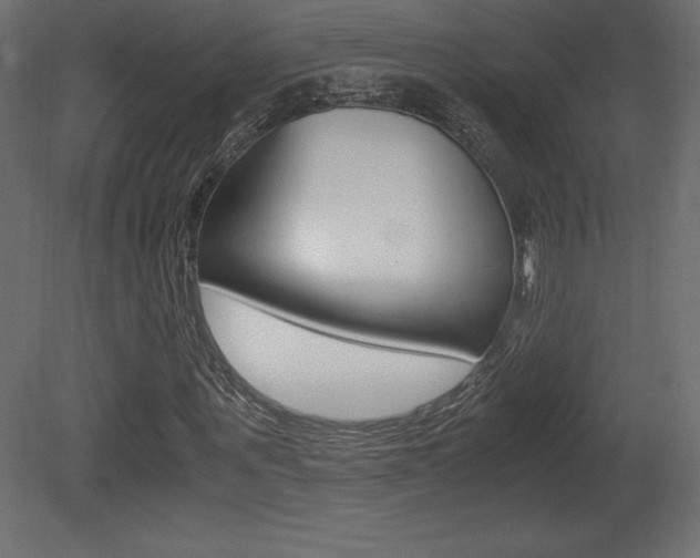 X0000081450867200701121012