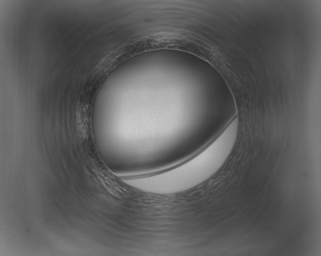X0000081450868200701121012
