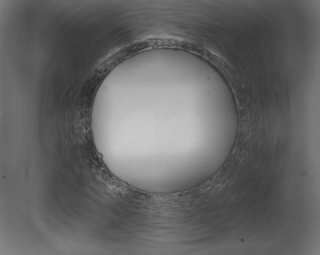 X0000081450870200701121012
