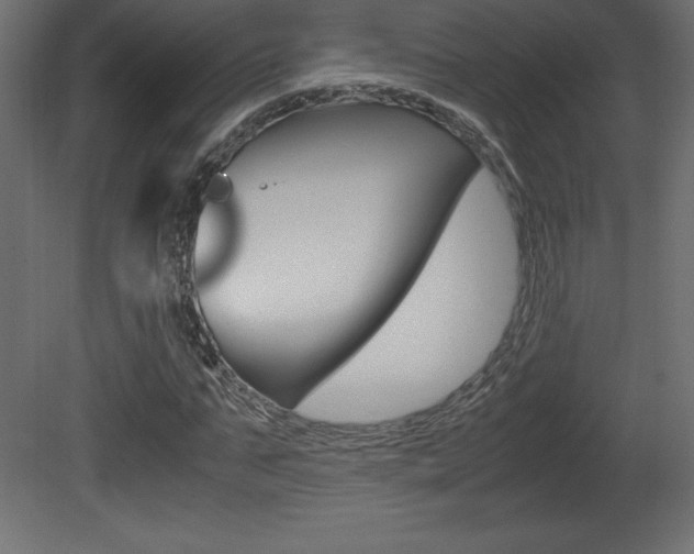 X0000081450871200701121012