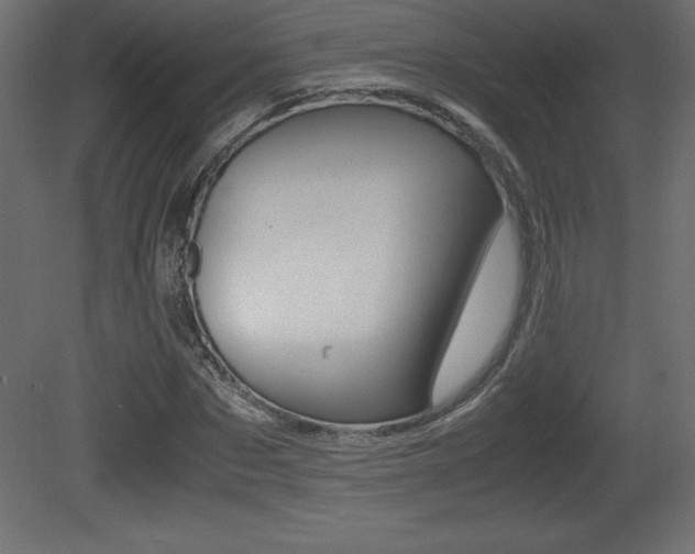 X0000081450873200701121012