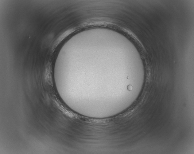 X0000081450874200701121012