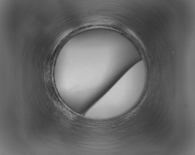 X0000081450875200701121012