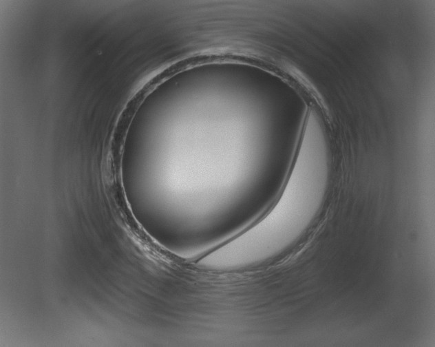 X0000081450876200701121012
