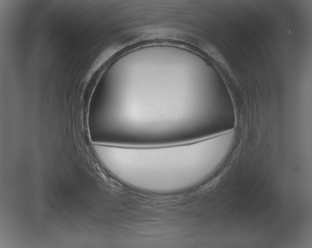 X0000081450877200701121012
