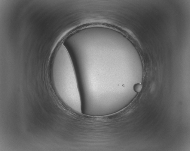 X0000081450879200701121012