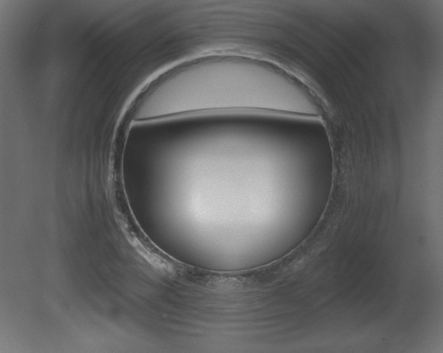 X0000081450880200701121012
