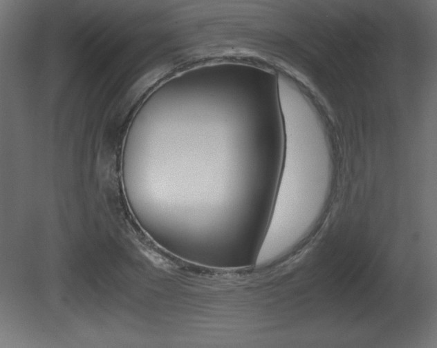 X0000081450881200701121012