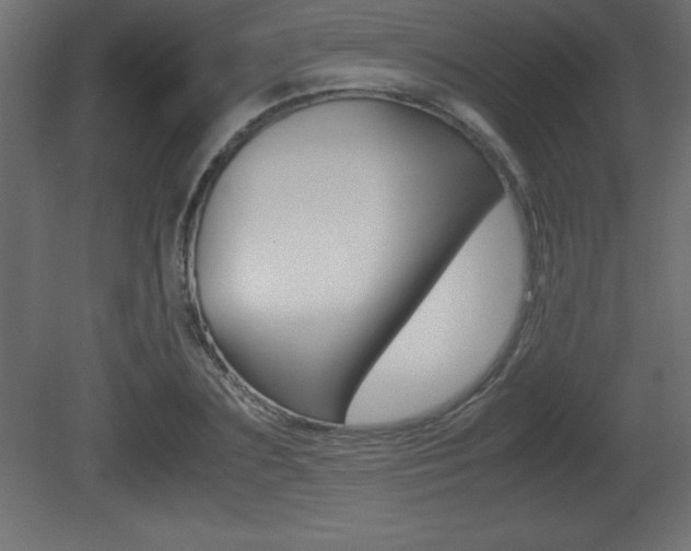 X0000081450883200701121012