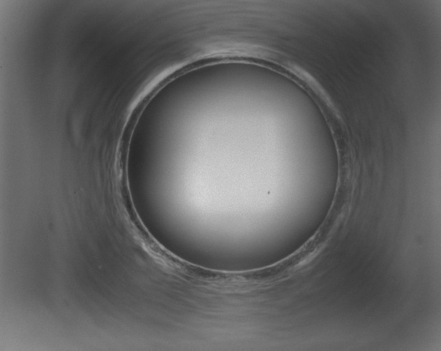 X0000081450885200701121012