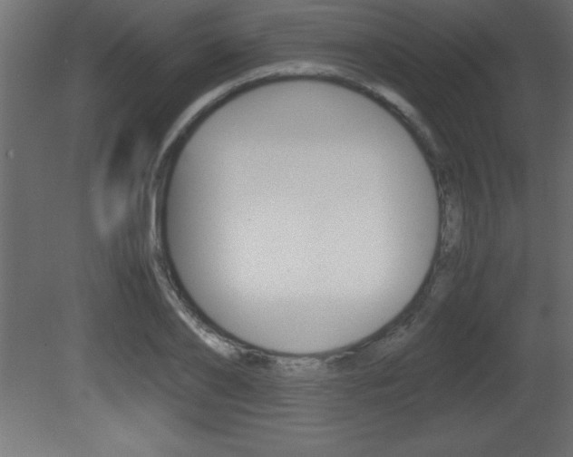 X0000081450886200701121012