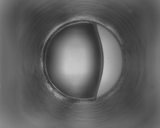 X0000081450888200701121012