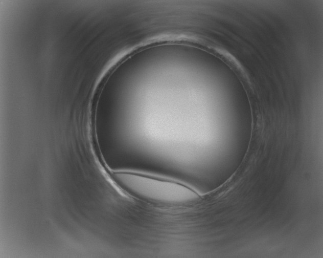 X0000081450894200701121012