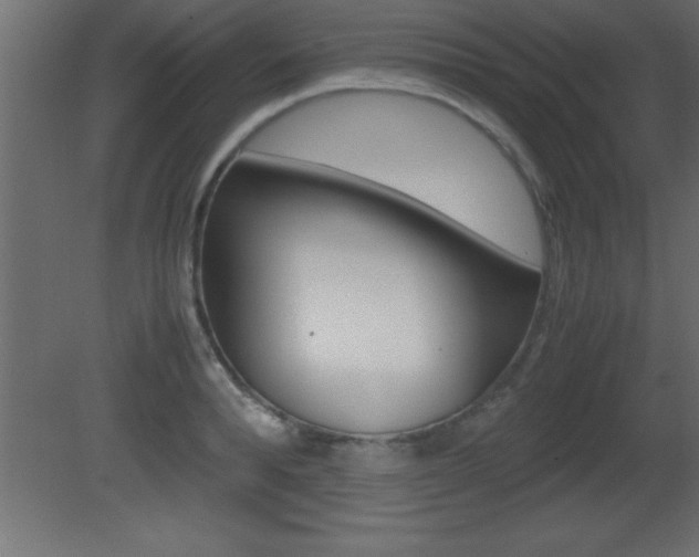 X0000081450896200701121012