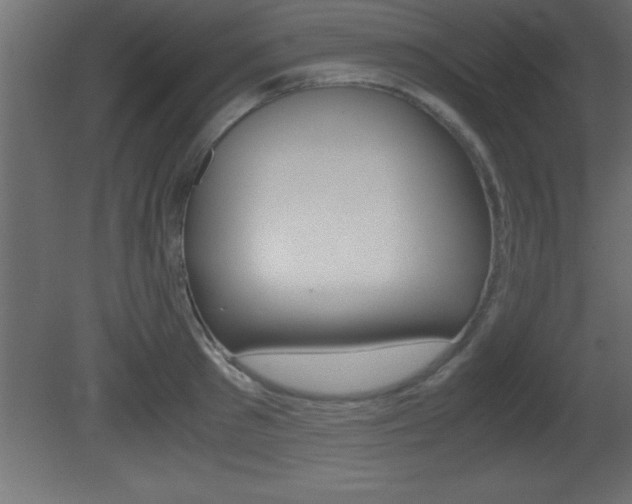 X0000081450897200701121012
