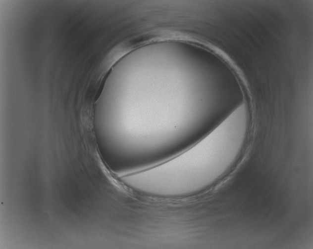 X0000081450905200701121011