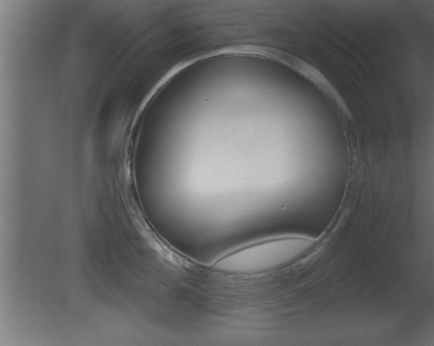 X0000081450908200701121011