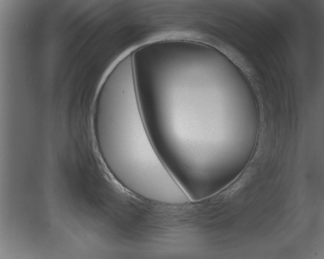X0000081450912200701121011
