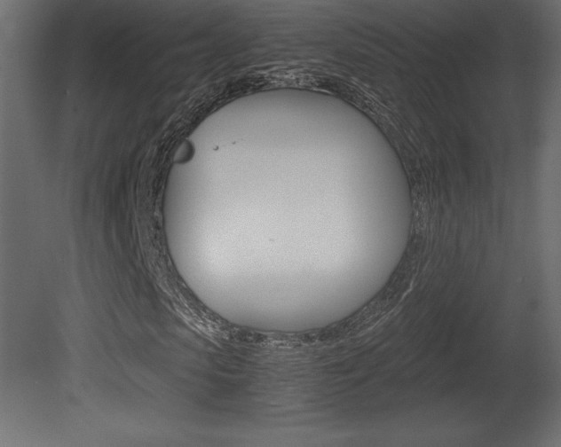 X0000081450913200701121010
