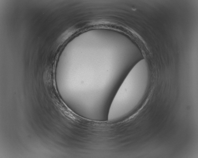 X0000081450921200701121011