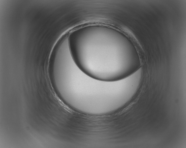X0000081450924200701121011