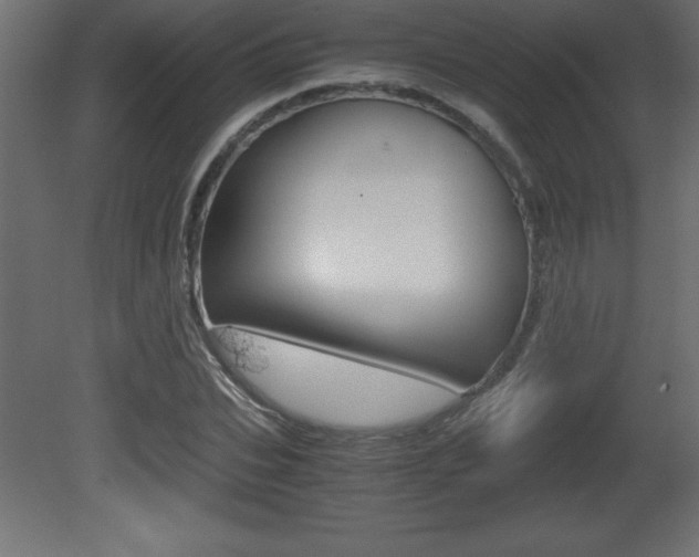 X0000081450927200701121011