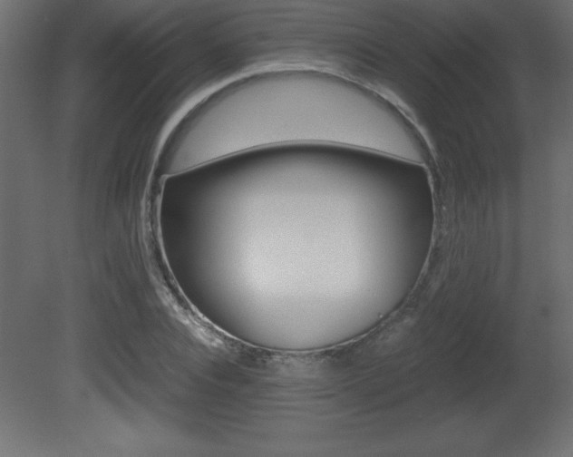X0000081450928200701121011