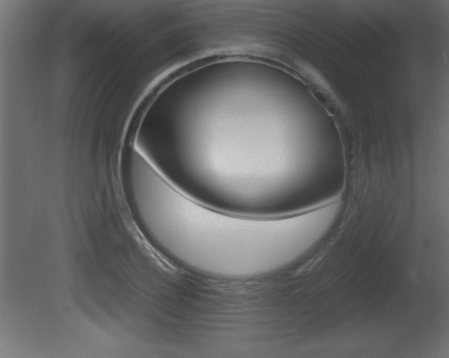 X0000081450932200701121011