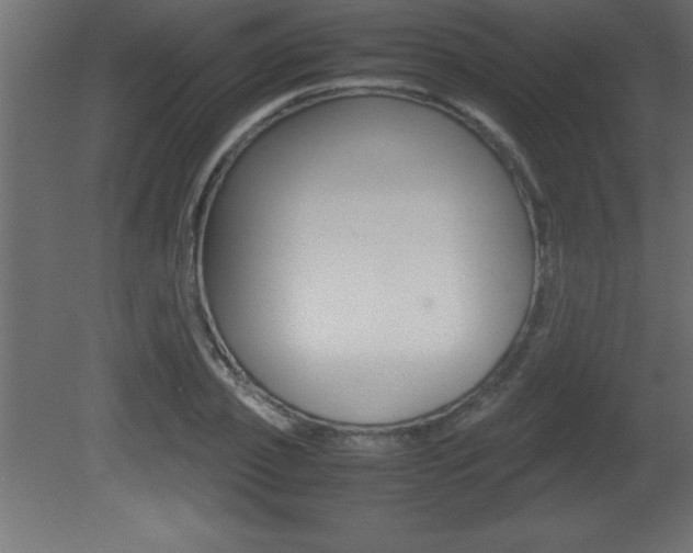 X0000081450933200701121011